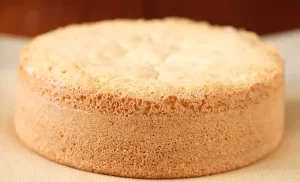 sponge cake